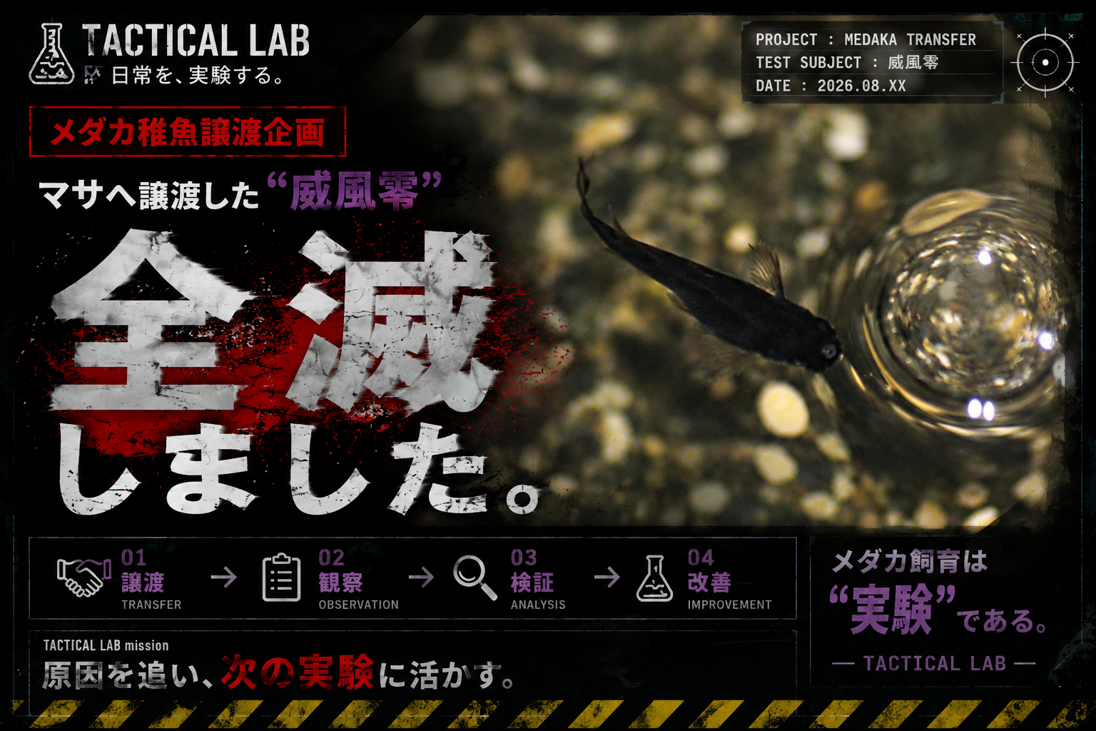 【TACTICAL LAB活動記録#003】マサへ譲渡した威風零6匹が全滅｜今回の結果と次回への改善