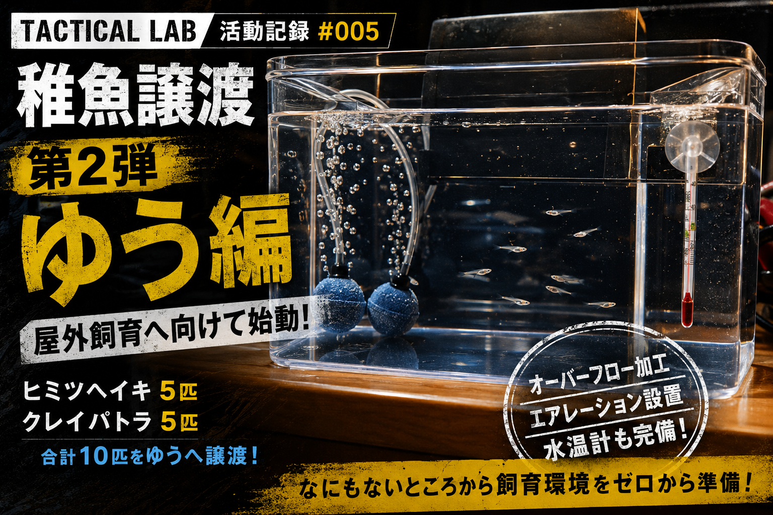 【TACTICAL LAB活動記録#005】稚魚譲渡 第2弾！ゆうの屋外飼育に向けて飼育環境をゼロから準備