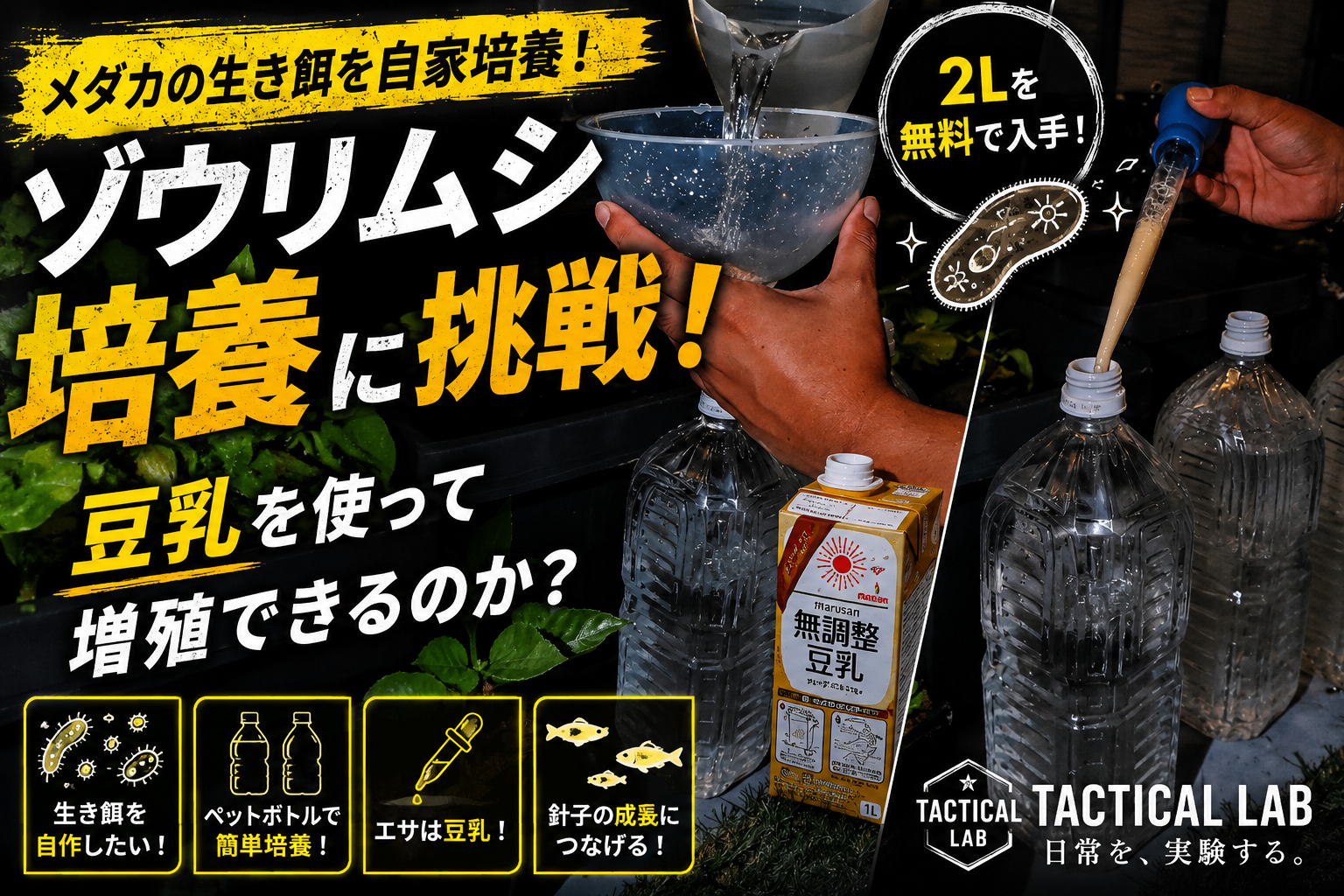 【メダカの生き餌を自家培養！】ゾウリムシ2Lを無料で入手！豆乳を使って増殖に初挑戦